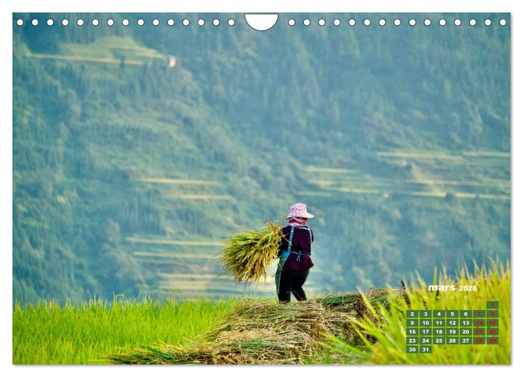 Produktbild: Riz de Chine (Calendrier mural 2026 DIN A4 vertical), CALVENDO calendrier mensuel