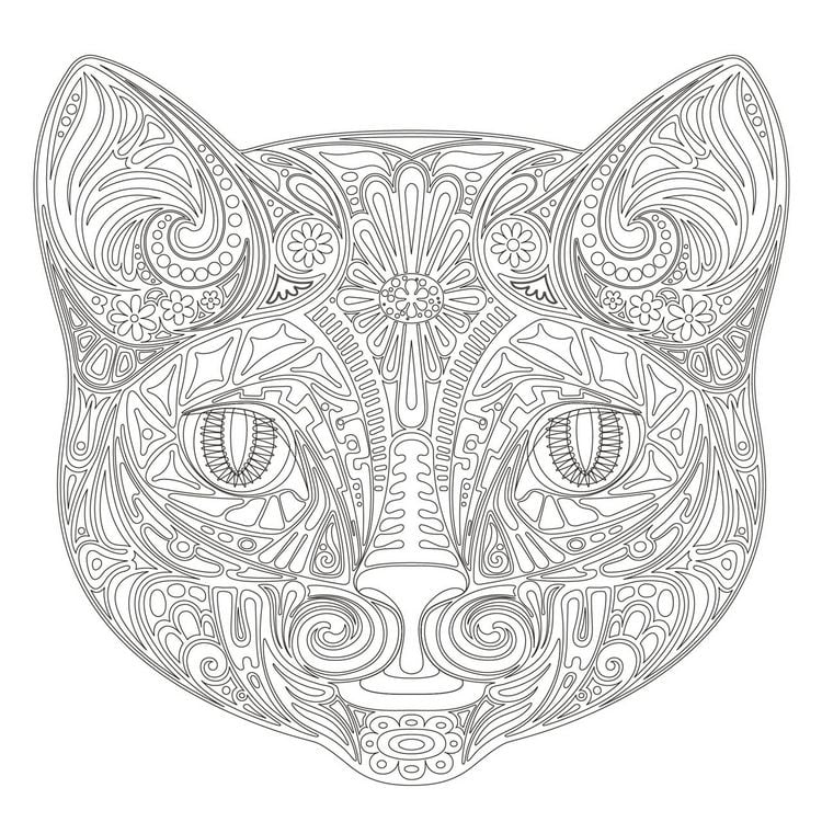 Produktbild: Achtsam & Kreativ. Katzen