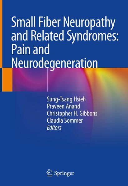 Produktbild: Small Fiber Neuropathy and Related Syndromes: Pain and Neurodegeneration