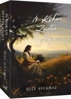 Produktbild: Is Kokan Zeytin Agaci
