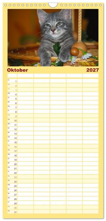 Produktbild: Familienplaner 2027 - Die Launen der Katzen 2027 mit 5 Spalten (Wandkalender, 21 x 45 cm) CALVENDO