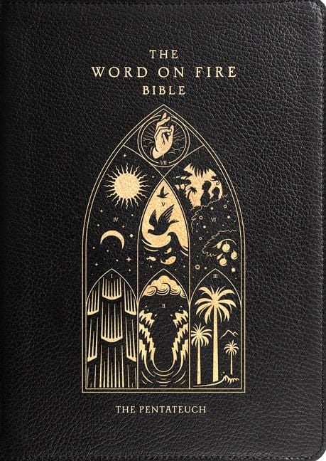 Produktbild: The Word on Fire Bible