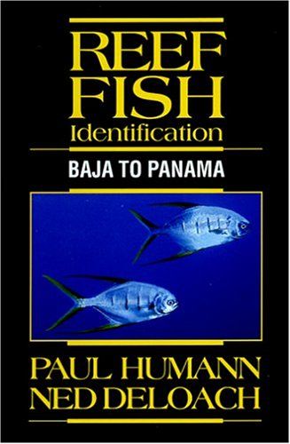 Produktbild: Reef Fish Identification