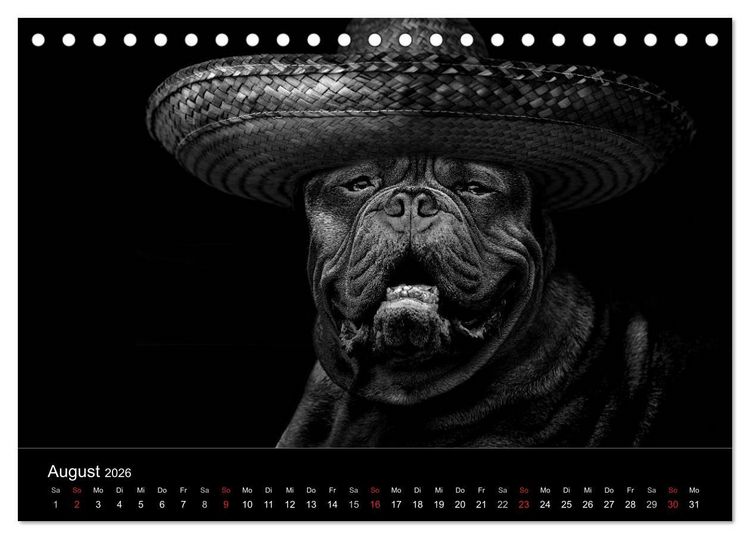 Produktbild: H&uuml;tehunde (Tischkalender 2026 DIN A5 quer), CALVENDO Monatskalender