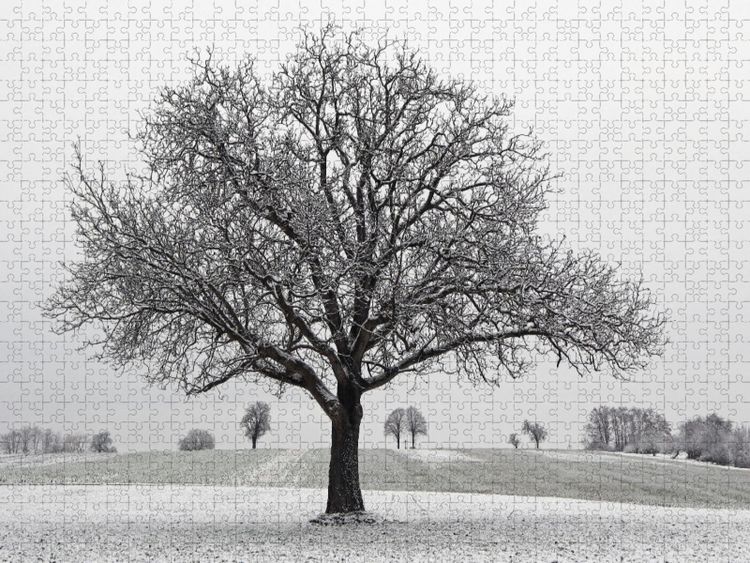 Produktbild: CALVENDO Puzzle Dezember | 1000 Teile Lege-Gr&ouml;&szlig;e 64x48cm Foto-Puzzle f&uuml;r gl&uuml;ckliche Stunden