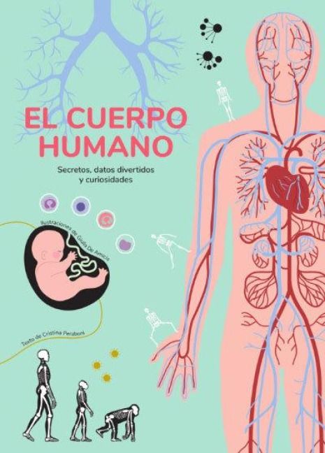Produktbild: El cuerpo humano