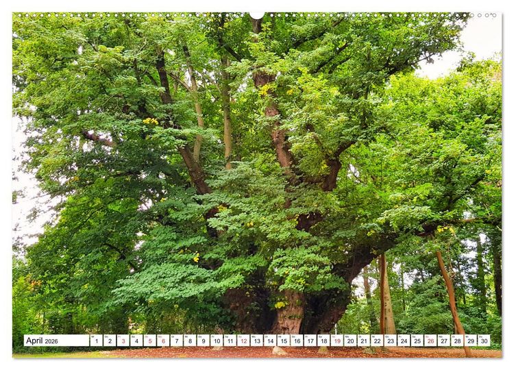 Produktbild: Samtgemeinde D&ouml;rpen im Emsland (hochwertiger Premium Wandkalender 2026 DIN A2 quer), Kunstdruck in Hochglanz