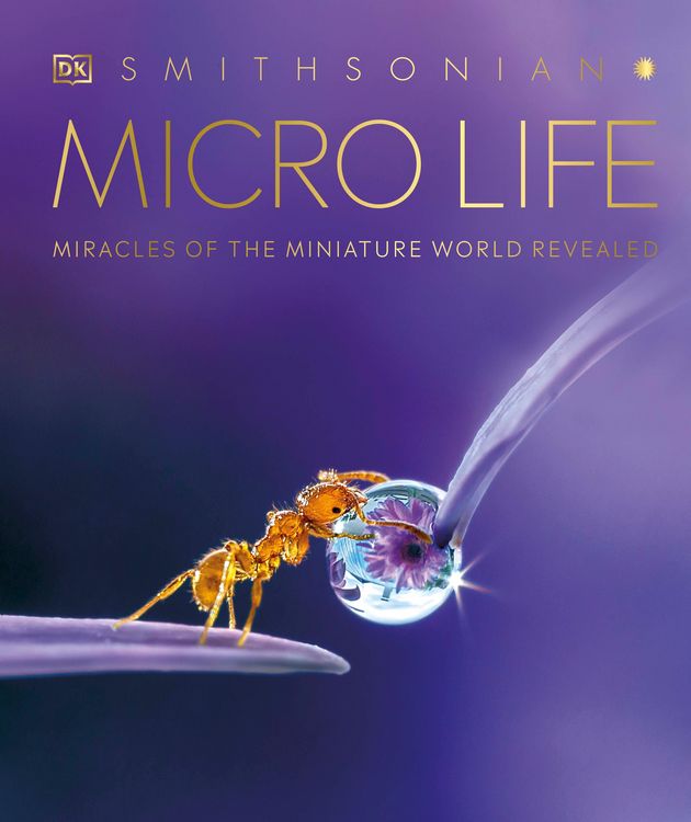 Produktbild: Micro Life