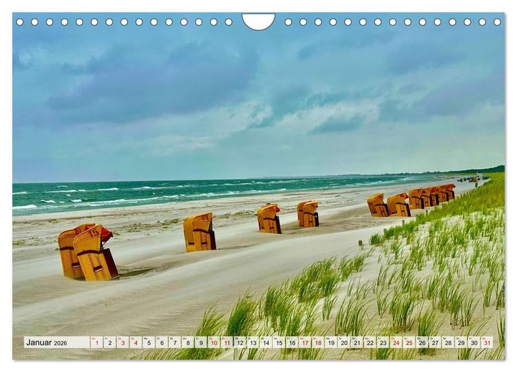 Produktbild: Fischland: zwischen Ostsee und Bodden (Wandkalender 2026 DIN A4 quer), CALVENDO Monatskalender