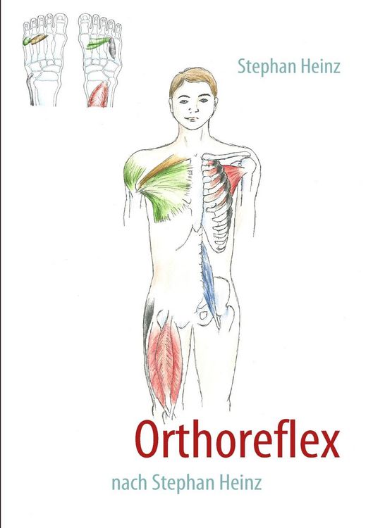 Produktbild: Orthoreflex