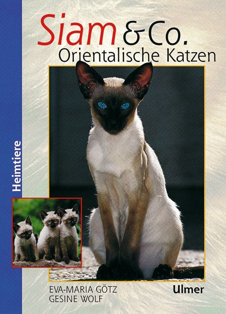 Produktbild: Siam & Co. Orientalische Katzen