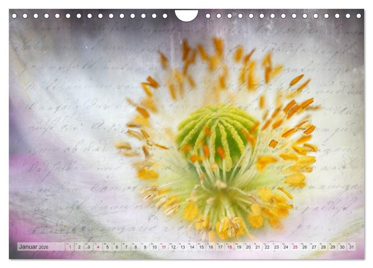 Produktbild: Vintage Nature - Romantische Naturaufnahmen (Wandkalender 2026 DIN A4 quer), CALVENDO Monatskalender