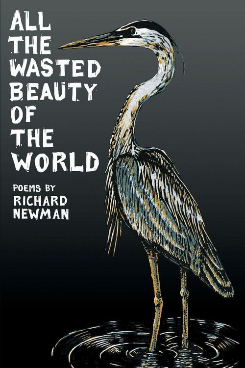 Produktbild: All the Wasted Beauty of the World - Poems