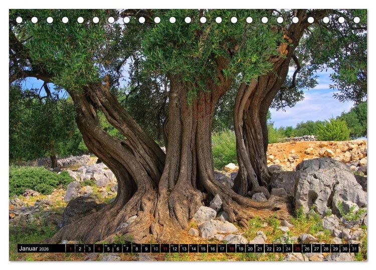 Produktbild: Kvarner Golf - Kroatien (Tischkalender 2026 DIN A5 quer), CALVENDO Monatskalender