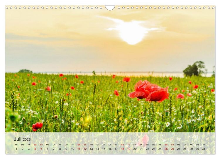 Produktbild: Schwedeneck Natur und Meer (Wandkalender 2026 DIN A3 quer), CALVENDO Monatskalender