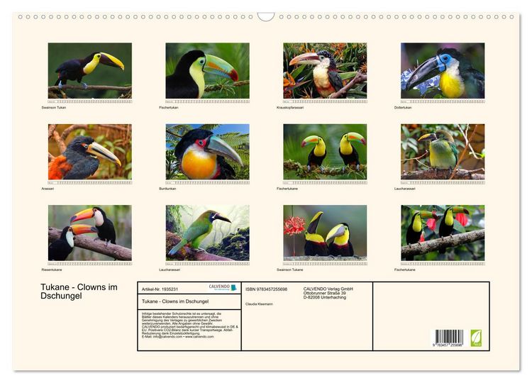 Produktbild: Tukane - Clowns im Dschungel (Wandkalender 2026 DIN A2 quer), CALVENDO Monatskalender