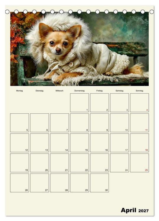 Produktbild: Schnuten im Herbstlicht. Kleine Hunde in stillen Momenten (Tischkalender 2027 DIN A5 hoch), CALVENDO Monatskalender