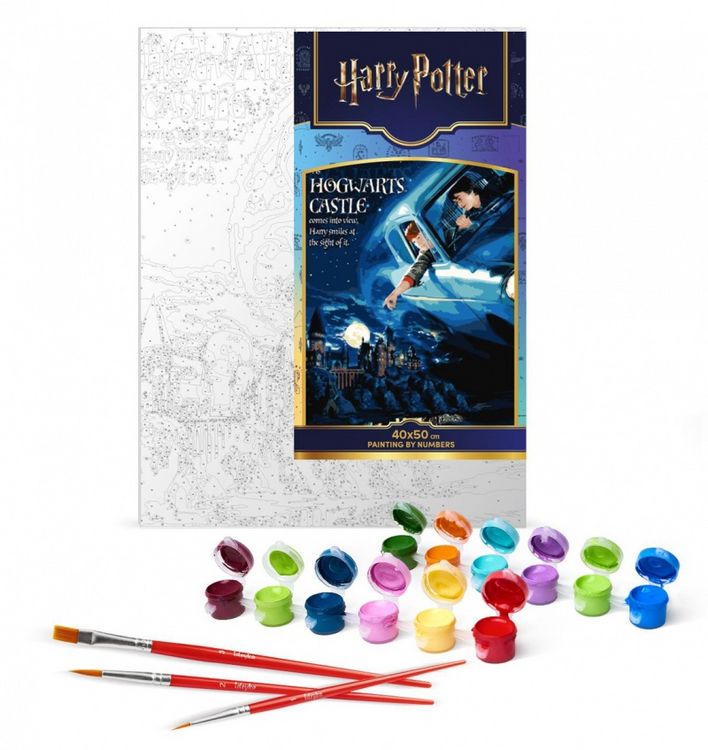 Produktbild: Harry Potter: Flug mit dem Auto 40x50 cm