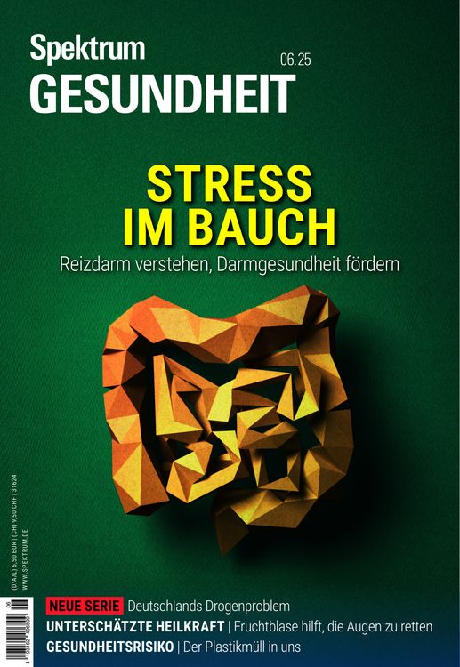 Produktbild: Spektrum Gesundheit 6/2025 - Stress im Bauch