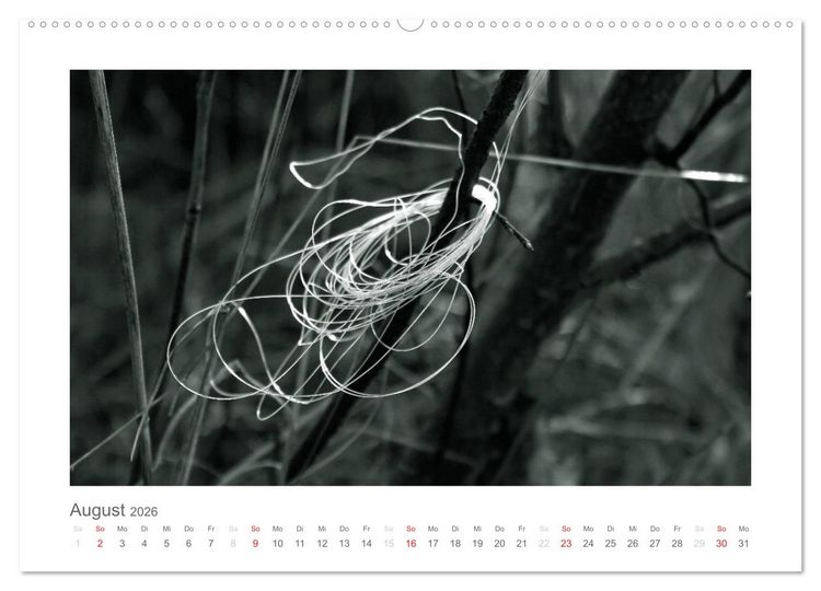 Produktbild: einfach schwarz-wei&szlig; (Wandkalender 2026 DIN A2 quer), CALVENDO Monatskalender