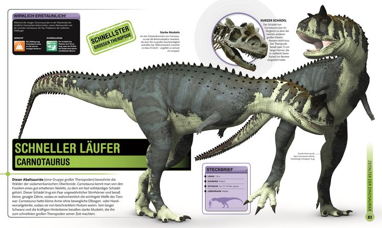 Produktbild: Super-Dinos
