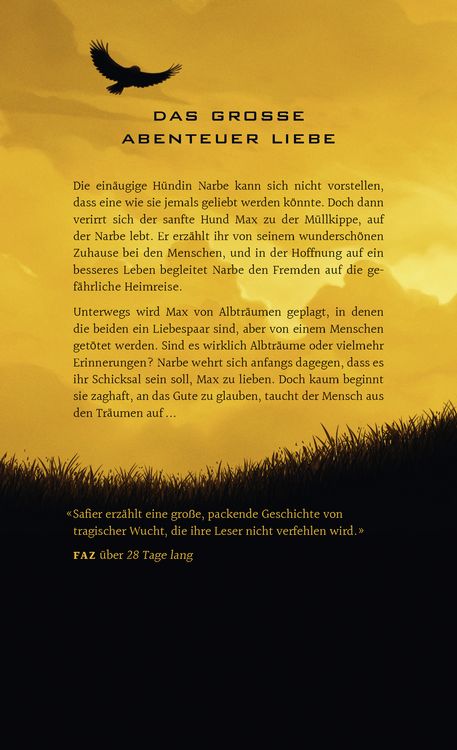 Produktbild: Die Ballade von Max und Amelie