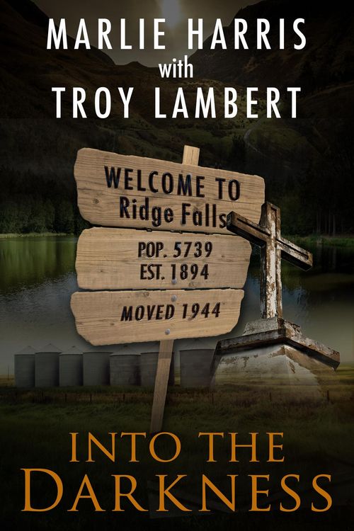 Produktbild: Into the Darkness (Ridge Falls, #1)