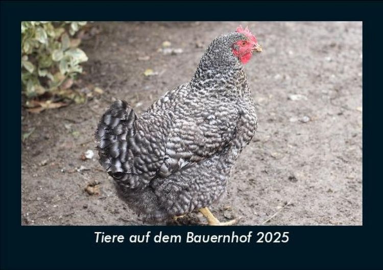 Produktbild: Tiere auf dem Bauernhof 2025 Fotokalender DIN A5