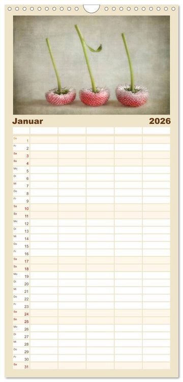 Produktbild: Familienplaner 2026 - Vintage Flowers mit 5 Spalten (Wandkalender, 21 x 45 cm) CALVENDO