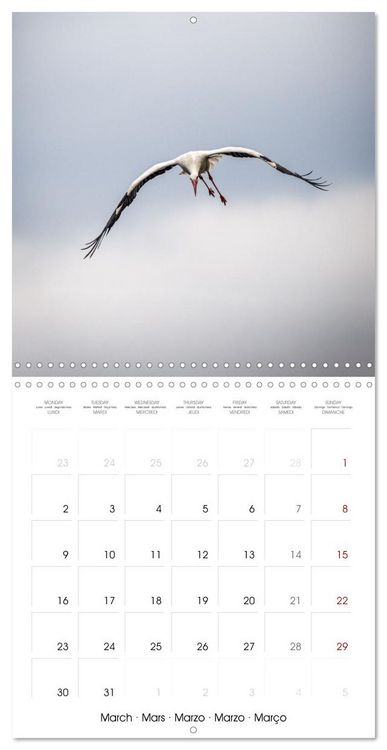 Produktbild: Whispers of Wings (Wall Calendar 2026 12 &times; 12 Inch) CALVENDO 12 Month Wall Calendar