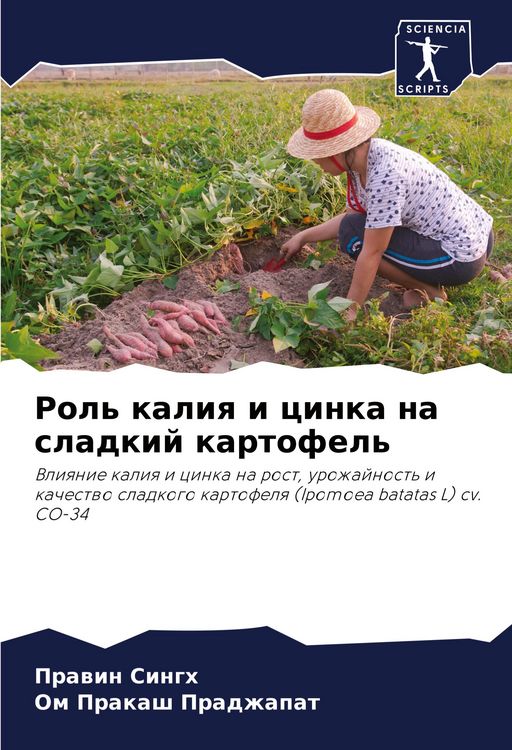 Produktbild: Rol' kaliq i cinka na sladkij kartofel'
