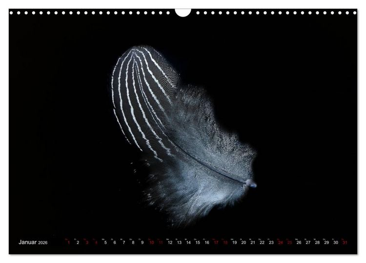 Produktbild: Federleichte Momente (Wandkalender 2026 DIN A3 quer), CALVENDO Monatskalender