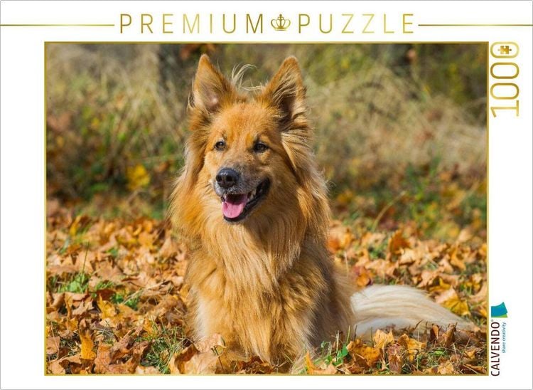 Produktbild: CALVENDO Puzzle Harzer Fuchs im Herbst | 1000 Teile Lege-Gr&ouml;&szlig;e 64x48cm Foto-Puzzle f&uuml;r gl&uuml;ckliche Stunden