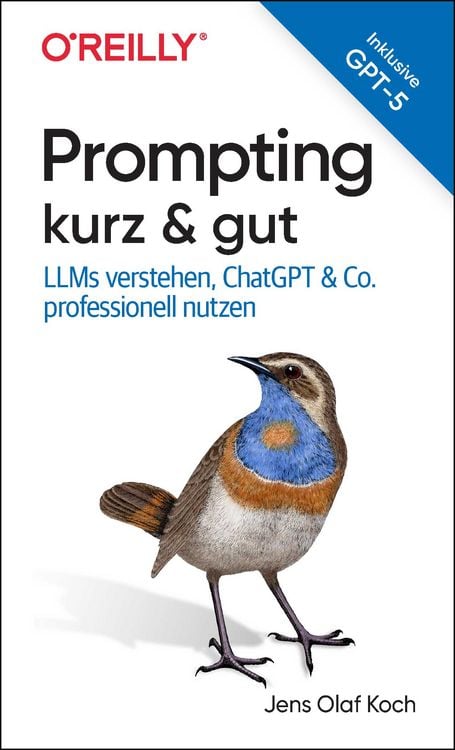 Produktbild: Prompting kurz & gut