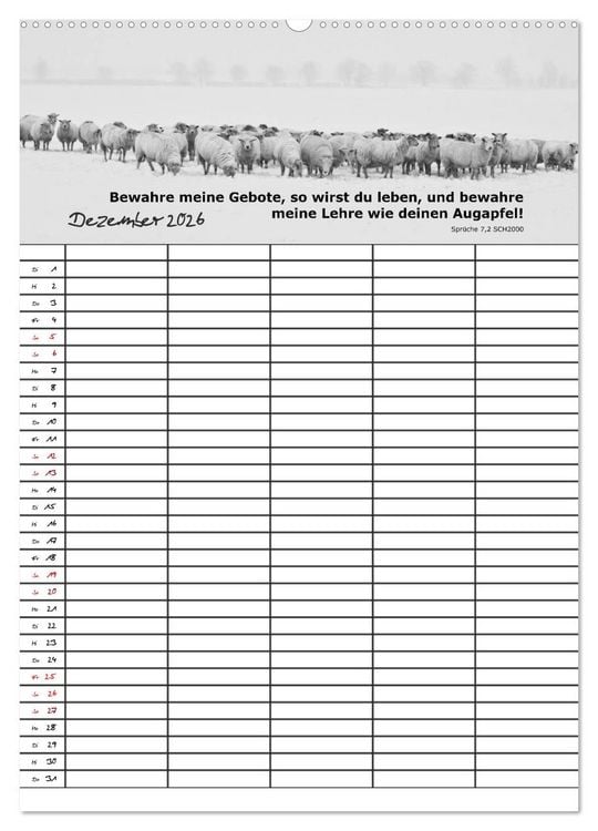Produktbild: ein Planer mit biblischer Weisheit aus den Spr&uuml;chen Salomos (hochwertiger Premium Wandkalender 2026 DIN A2 hoch), Kunstdruck in Hochglanz