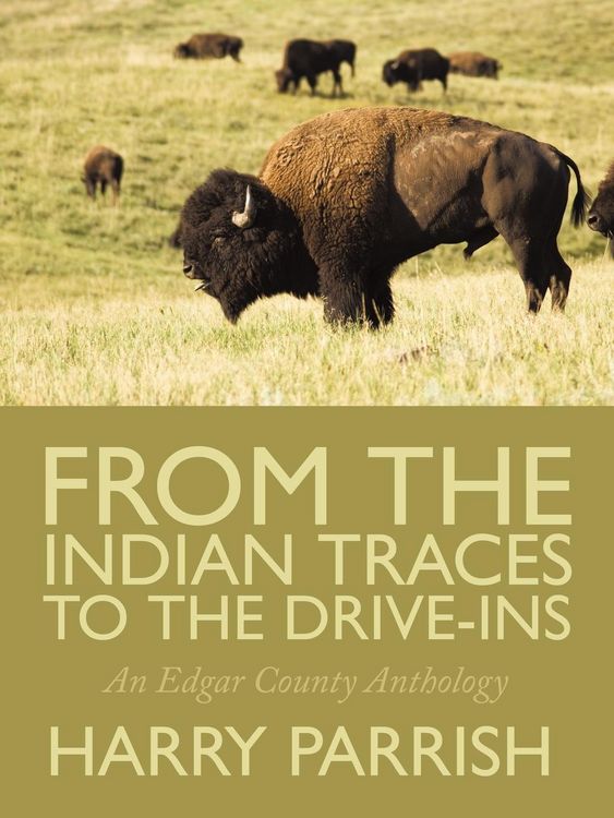 Produktbild: From the Indian Traces to the Drive-Ins