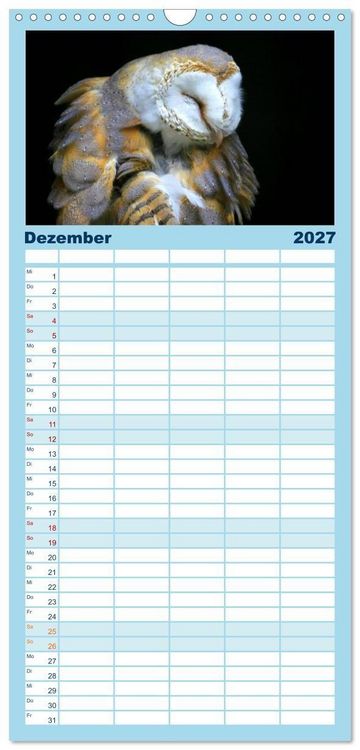 Produktbild: Familienplaner 2027 - Greifv&ouml;gel, Eulen und K&auml;uze mit 5 Spalten (Wandkalender, 21 x 45 cm) CALVENDO