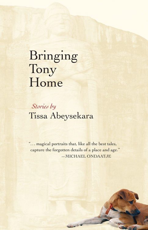 Produktbild: Bringing Tony Home