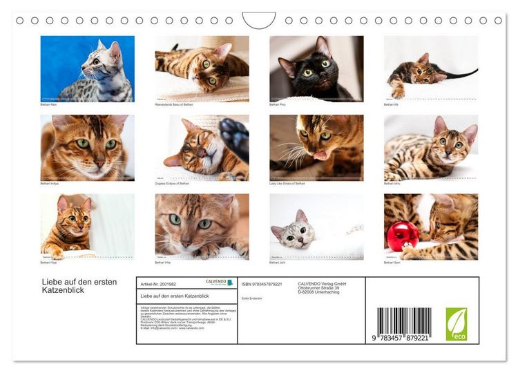 Produktbild: Liebe auf den ersten Katzenblick (Wandkalender 2026 DIN A4 quer), CALVENDO Monatskalender