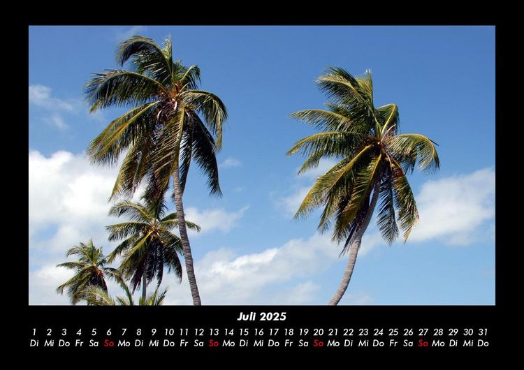 Produktbild: Palmentraum 2025 Fotokalender DIN A3