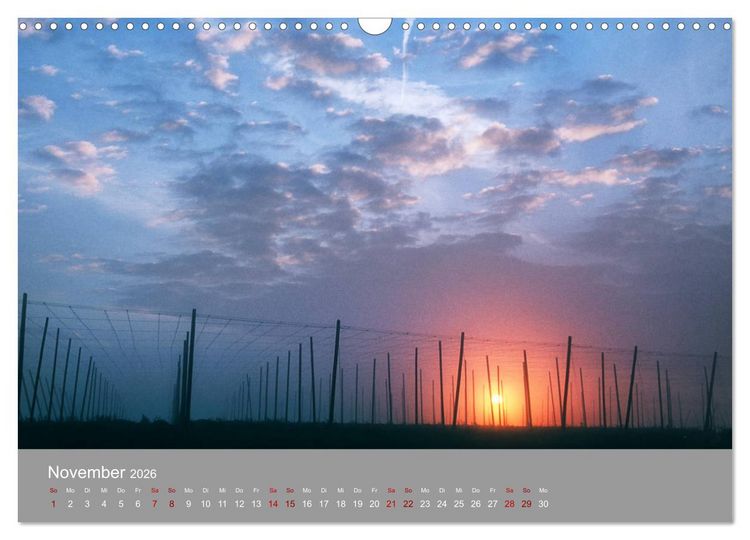 Produktbild: Hallertau (Wandkalender 2026 DIN A3 quer), CALVENDO Monatskalender