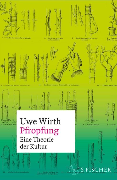 Produktbild: Pfropfung &ndash; Eine Theorie der Kultur