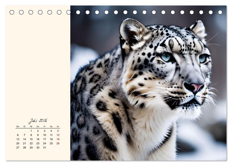 Produktbild: Im Reich der Schneeleoparden (Tischkalender 2026 DIN A5 quer), CALVENDO Monatskalender