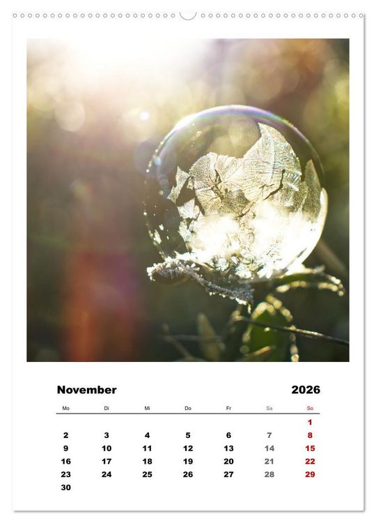 Produktbild: Frostige Seifenblasen (hochwertiger Premium Wandkalender 2026 DIN A2 hoch), Kunstdruck in Hochglanz