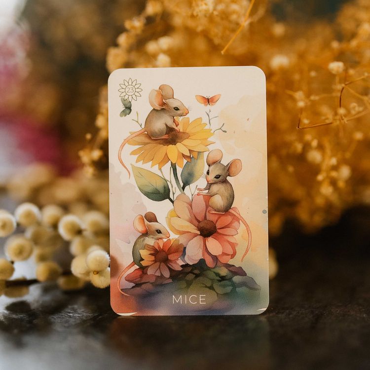 Produktbild: Summer Serenade Lenormand (English) - 38 Cards with Booklet