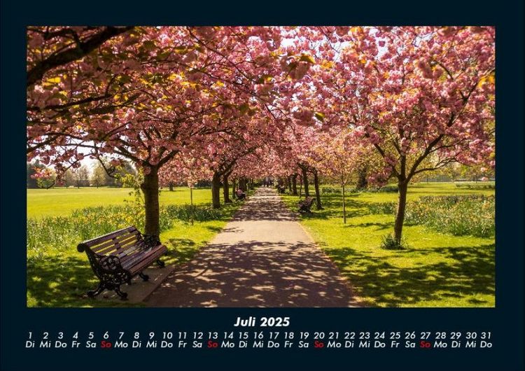 Produktbild: B&auml;ume 2025 Fotokalender DIN A4