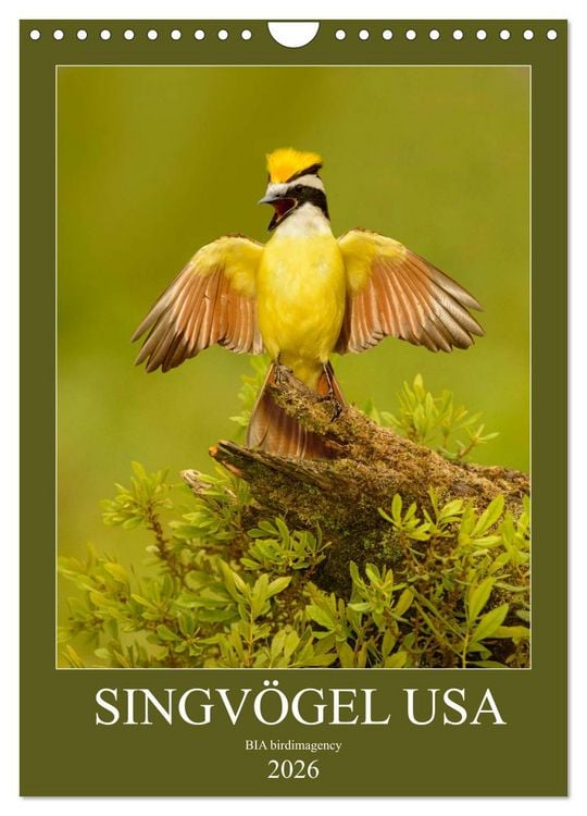 Produktbild: Singv&ouml;gel USA (Wandkalender 2026 DIN A4 hoch), CALVENDO Monatskalender