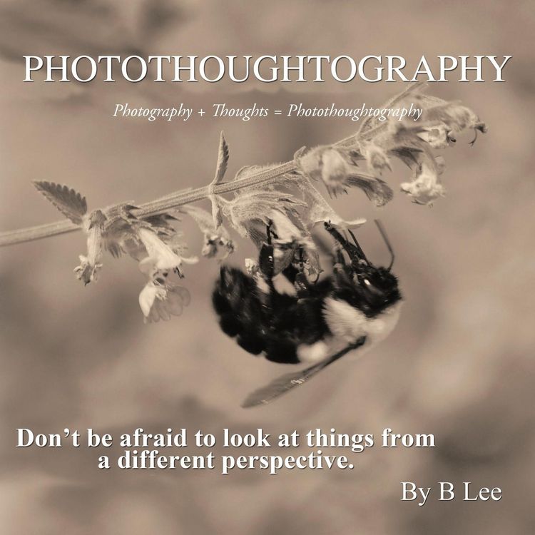 Produktbild: Photothoughtography