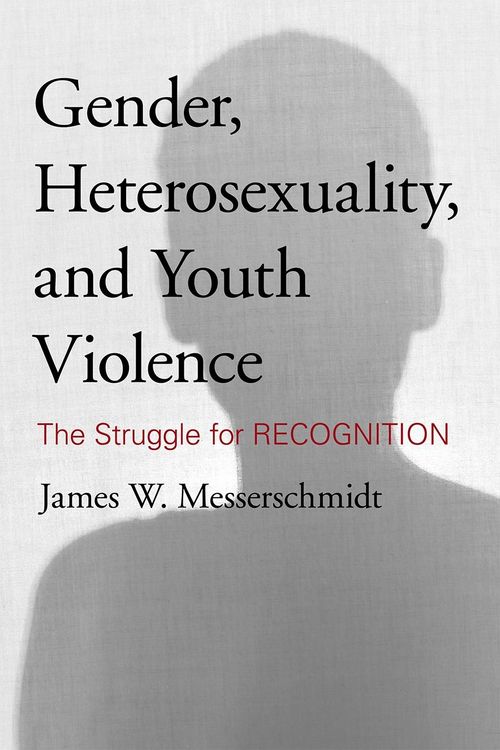 Produktbild: Gender, Heterosexuality, and Youth Violence