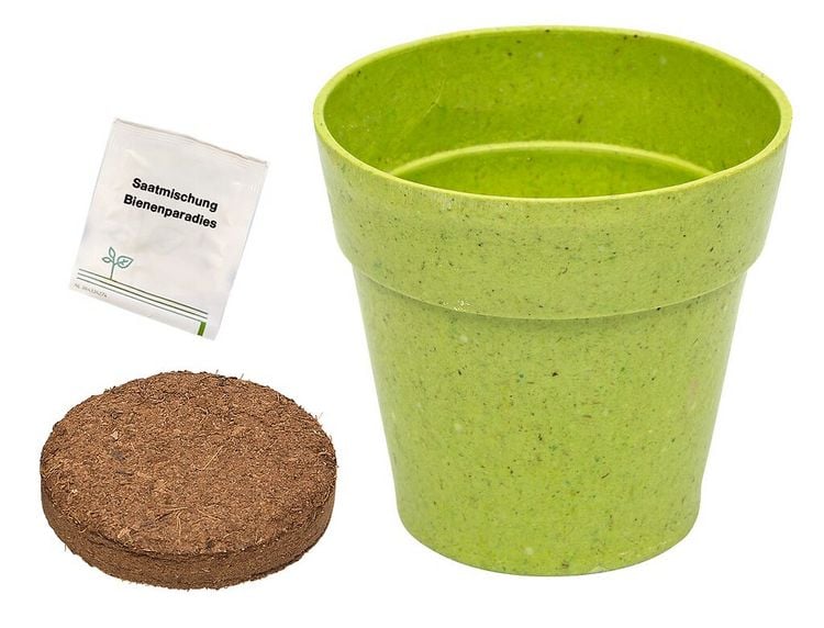 Produktbild: Mein Zaubergarten Anzuchtsets f&uuml;r Insektenfreunde